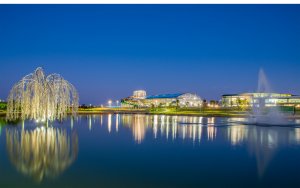 A serene night view of a waterfront park featuring illuminated architectural structures and a large metallic tree sculpture. The reflections of the lights and buildings shimmer on the calm water, with a fountain adding a dynamic element to the tranquil scene.