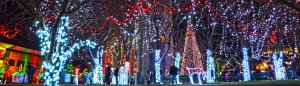 A park at night decorated with colorful Christmas lights on trees, including red, white, and multicolored lights. People walk among the illuminated trees, and a large Christmas tree is brightly lit in the background.