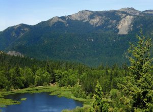 A lush green forest surrounds a small, calm lake with patches of floating vegetation, set against a backdrop of tall, tree-covered mountains under a clear blue sky.