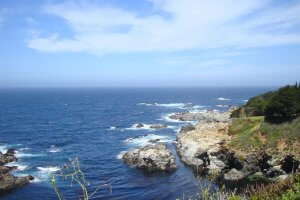 A scenic view of a rocky coastline under a partly cloudy sky. The ocean waves crash against the rocks, and lush greenery covers the cliffs. Wildflowers and shrubs are visible in the foreground, adding vibrant colors to the natural landscape.