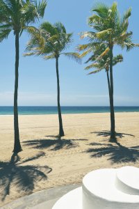 Three palm trees cast shadows on a sandy beach under a clear blue sky, with the ocean visible in the background and a white, curved structure in the foreground.