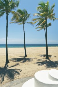 A morning in an empty clean beach shoreline with palm trees