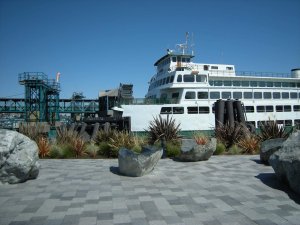 A white ferry docked at a terminal, with a modern paved area, large rocks, and coastal plants in the foreground under a clear blue sky.