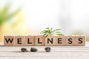 Wooden letter blocks spelling "WELLNESS" are arranged on a wooden surface. A small plant is placed atop the blocks, and three smooth black stones are scattered in front of them. The background features blurred greenery and bright, natural light, reflecting tranquility amidst Careers In Government challenges.