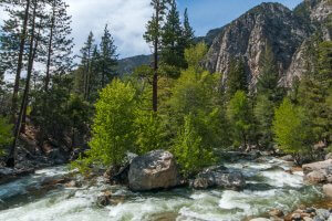 Fresno county Kings Canyon National Park