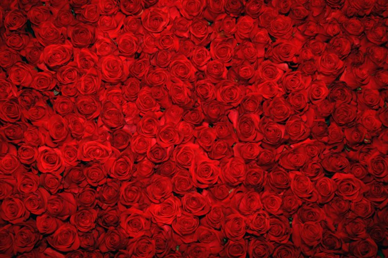 50 Ways to Love Your Leader