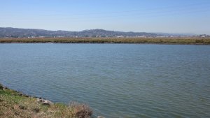 A calm, wide body of water with grassy banks under a clear blue sky. Hills and buildings are visible in the distance, with power lines stretching across the scene.
