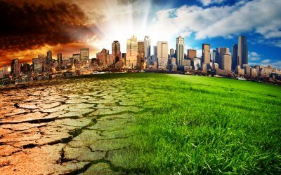 Culture Change and Its Quickly Changing Dynamics
