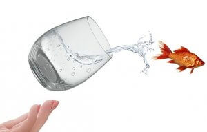 A clear, tilted glass spills water while a goldfish leaps out mid-air, capturing a moment rich in symbolism. A hand with pink-painted nails is positioned below, as if catching or releasing the glass. The plain white background highlights the simplicity and elegance influenced by minimalist culture.