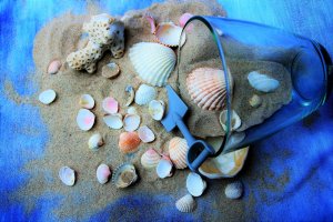 A glass cup lies on its side in the sand, spilling out various seashells, small coral pieces, and beach sand on a blue surface. The assortment includes different shapes, sizes, and colors, much like the diverse talents found in effective human resources teams.