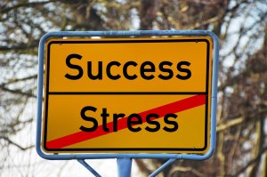A yellow road sign displays the word "Success" at the top and "Stress" at the bottom, with a red line striking through "Stress." The sign conveys a positive message of overcoming stress to achieve job success. The background shows blurred trees and sky.
