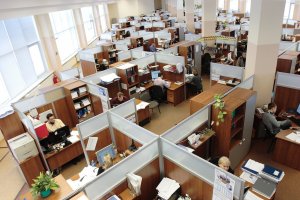 A large open-plan office with multiple cubicles, each furnished with desks, chairs, computers, and office supplies. Several teams are working at their desks, and the space is brightly lit with natural light coming from large windows on one side.