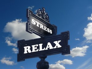 A black street sign with ornate detailing points in two directions against a blue sky with scattered clouds. One sign reads "STRESS" in white letters, while the other reads "RELAX." This juxtaposition highlights the choices we face between burnout and finding calm.