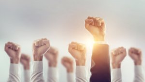 A group of raised clenched fists with one in the foreground highlighted by sunlight symbolizes success. The hands, dressed in formal sleeves, convey solidarity and determination. The background is blurred, emphasizing the unity and collective strength of this powerful gesture.