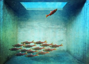 An underwater scene shows a group of fish swimming together toward the left-bottom corner of the image, like job seekers navigating a competitive market. One fish swims upwards towards a bright opening at the top-right corner, resembling an escape or light source. The environment appears enclosed and somewhat industrial.