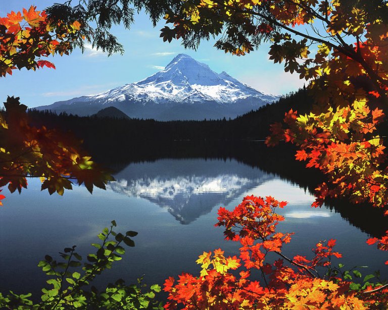 A scenic Oregon landscape features a snow-capped mountain in the background reflected in a tranquil lake. The view is framed by autumn foliage in vibrant reds, oranges, and yellows, with some green leaves, creating a colorful natural border to the serene scene.