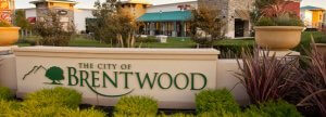 A landscaped sign reading "The City of Brentwood" is surrounded by well-maintained greenery and potted plants. In the background, shops and buildings with various storefronts sit under a clear sky, offering a picturesque view of Brentwood's charm.