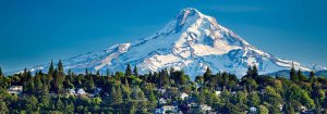 A tall, snow-capped mountain stands majestically under a clear Oregon sky. At its base is a lush, green forest with numerous houses scattered throughout, blending into the natural landscape. The scenery is serene and picturesque.