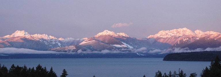 Panoramic view of a tranquil lake in Kitsap County with a backdrop of snow-capped mountains under a clear sky. The sunlight casts a pinkish hue on the peaks, and a layer of low clouds drifts across the midsection of the scene. Trees are visible in the foreground.