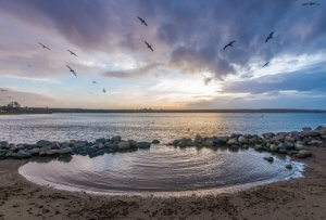 A tranquil beach scene at sunset with seagulls flying over a small pool of water surrounded by rocks. The calm ocean meets the horizon under a sky with clouds illuminated by soft hues of orange, pink, and blue, embodying a serene sense of natural leadership.