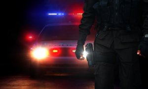 A police officer stands with a flashlight in hand near a correctional vehicle with flashing red and blue lights in the background. The scene is dark, highlighting the illuminated lights and the officer's uniform.