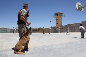A uniformed soldier with a service dog stands on a concrete court in the correctional facility yard, watching inmates play volleyball. The yard is enclosed by tall fences topped with barbed wire. A guard tower is visible in the background under a clear blue sky.