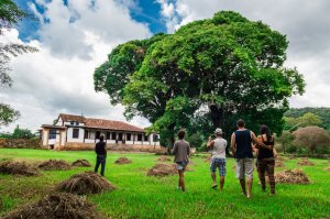 A group of five people walk on a grassy field towards a traditional, single-story house with a tiled roof. Scattered haystacks dot the green field, reminiscent of another time. A large, leafy tree stands prominently beside the house, under a partly cloudy sky.