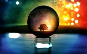 A lone tree is silhouetted against a glowing, colorful sky filled with twinkling warning lights, as seen through a crystal ball resting on a reflective surface. The backdrop features a gradient of deep blues, greens, and fiery oranges, creating a surreal and magical atmosphere.