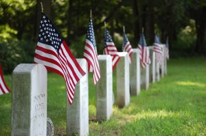 Row of white gravestones adorned with American flags in a green cemetery, their enduring legacy punctuated by trees in the background.