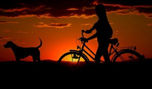 Silhouette of a person walking a bicycle at sunset, with dogs standing nearby. The background displays an orange and red sky with scattered clouds, creating a serene and picturesque scene.