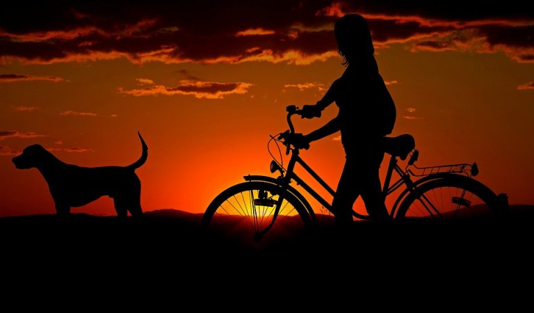 Silhouette of a person walking a bicycle at sunset, with dogs standing nearby. The background displays an orange and red sky with scattered clouds, creating a serene and picturesque scene.