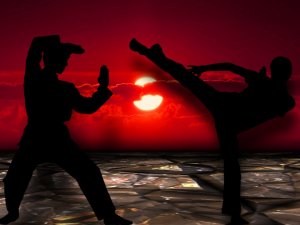 Silhouettes of two people practicing martial arts kata in front of a sunset. One person is in a defensive stance with their arm raised, while the other delivers a high kick. The ground appears reflective, and the sky is a deep red with the sun partially visible.