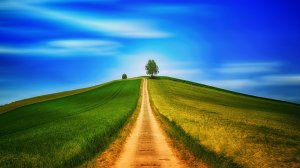 A dirt path stretches through vibrant green fields on either side, leading to a single tree on top of a gentle hill under a vividly blue sky with streaks of white clouds. Another smaller tree is visible on the left side of the hill, as if walking away from its larger companion.