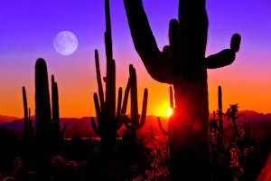 A desert landscape at sunset with tall saguaro cacti silhouetted against a vibrant sky transitioning from orange to purple in Scottsdale. The full moon rises on the left as the sun sets, casting a warm glow on the horizon and illuminating the rugged terrain.