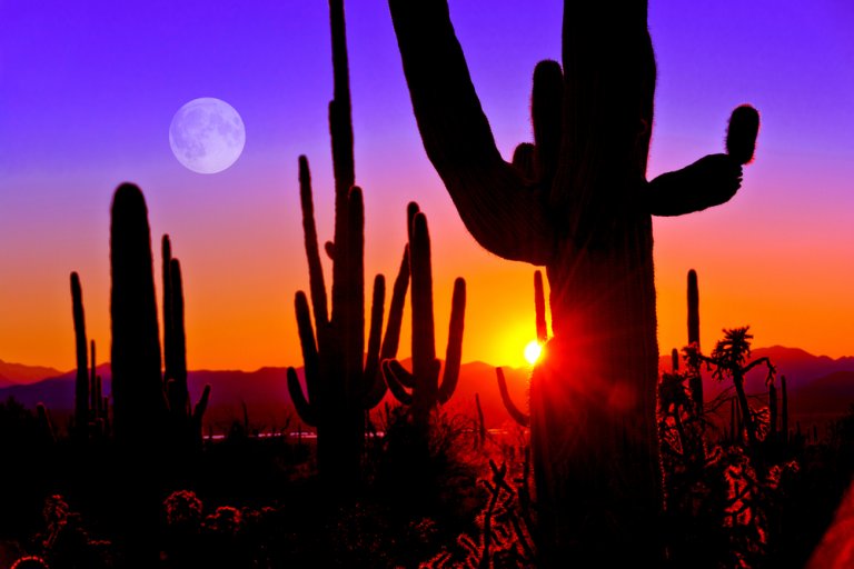 A desert landscape at sunset with tall saguaro cacti silhouetted against a vibrant sky transitioning from orange to purple in Scottsdale. The full moon rises on the left as the sun sets, casting a warm glow on the horizon and illuminating the rugged terrain.
