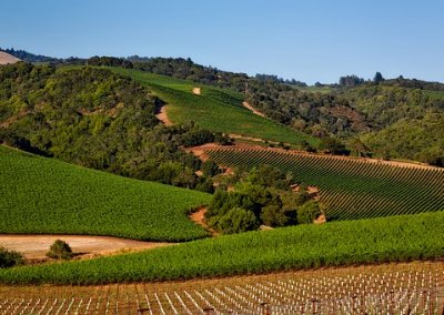Sonoma County, CA