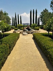 A landscaped garden with neatly trimmed hedges, a gravel pathway, tall cypress trees, white roses, and a pond with rocks at the center under a clear blue sky.