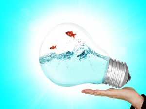 A hand is holding a transparent light bulb filled with water, inside which two orange goldfish are swimming. The background is a bright cyan blue with rays radiating outward, giving an impression of the bulb glowing. It's as if solving a creative problem can illuminate the world.