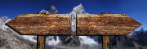 Two weathered wooden direction signs point opposite ways, standing against a backdrop of tall, blurred mountains. The rustic signs, mounted on sturdy poles, seem to symbolize a lateral transfer in choosing paths—the left sign pointing left and the right sign pointing right.