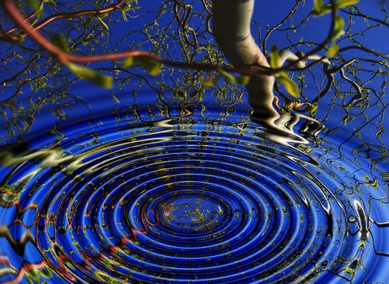 A tree branch with sparse leaves is reflected in a body of water. The water's surface causes a rippling effect, distorting the reflection in a circular pattern. The clear, vibrant blue sky above adds to the tranquil atmosphere, invoking a moment of serene consciousness.