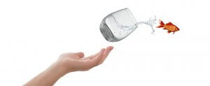 A hand is outstretched with a glass tilted above it, pouring water and a goldfish out, creating an unexpected visual experience against a white background.