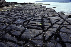 A rocky shoreline featuring large, dark basalt hexagonal columns with notable cracks and crevices exudes an ancient wisdom. The ocean waves gently lap against the shore, and a distant landmass is visible under a cloudy sky. Small seashells and patches of green algae are scattered across the rocks.
