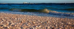 A sandy beach covered with numerous seashells is shown with gentle waves rolling in from a blue ocean. In the distance, a long white bridge extends across the water, leading to Sanibel's faint outline of a cityscape against the horizon under a clear sky.
