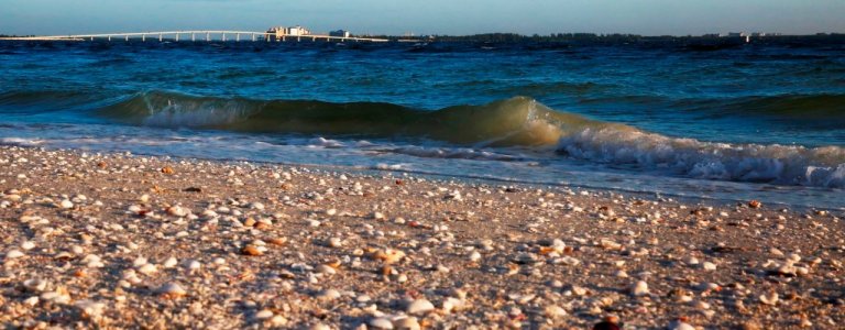 A sandy beach covered with numerous seashells is shown with gentle waves rolling in from a blue ocean. In the distance, a long white bridge extends across the water, leading to Sanibel's faint outline of a cityscape against the horizon under a clear sky.