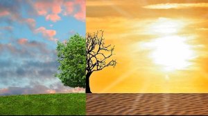 A split landscape with one half showing a lush green tree and grass under a blue sky with pink clouds, and the other half depicting a barren tree on dry, cracked ground under an intense yellow-orange sky with a glaring sun. This striking contrast symbolizes nature's resistance against extreme conditions.