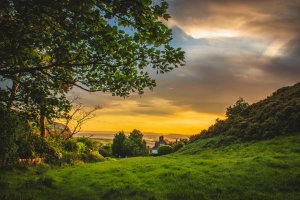 A serene landscape at sunset features a grassy field in the foreground, gently sloping downhill and surrounded by trees. In the distance, there's a house nestled among the greenery, with a golden sky and clouds illuminated by the setting sun.