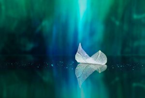 A delicate, intricate white leaf skeleton rests on a reflective surface against a blurred teal and green background, creating an ethereal, serene scene with symmetrical reflections.