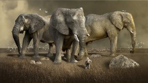 A small person stands in a vast grassy field, looking up at three towering elephants. The sky is overcast, and white birds fly around the elephants while large rocks are scattered on the ground. The dramatic scene emphasizes the size difference, almost as if it’s a silent promise of nature's grand scale.