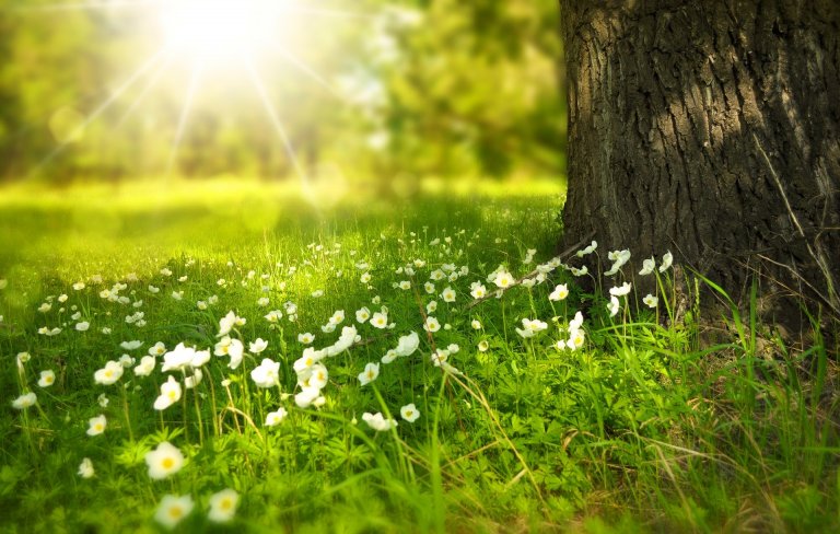 Information Governance Insights: Spring Cleaning Time!