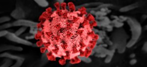A highly magnified image of a red and pink spiky sphere representing COVID-19, typically depicted with a fuzzy texture and spike-like projections. The background is blurred in black and white, making the virus stand out prominently in the center.
